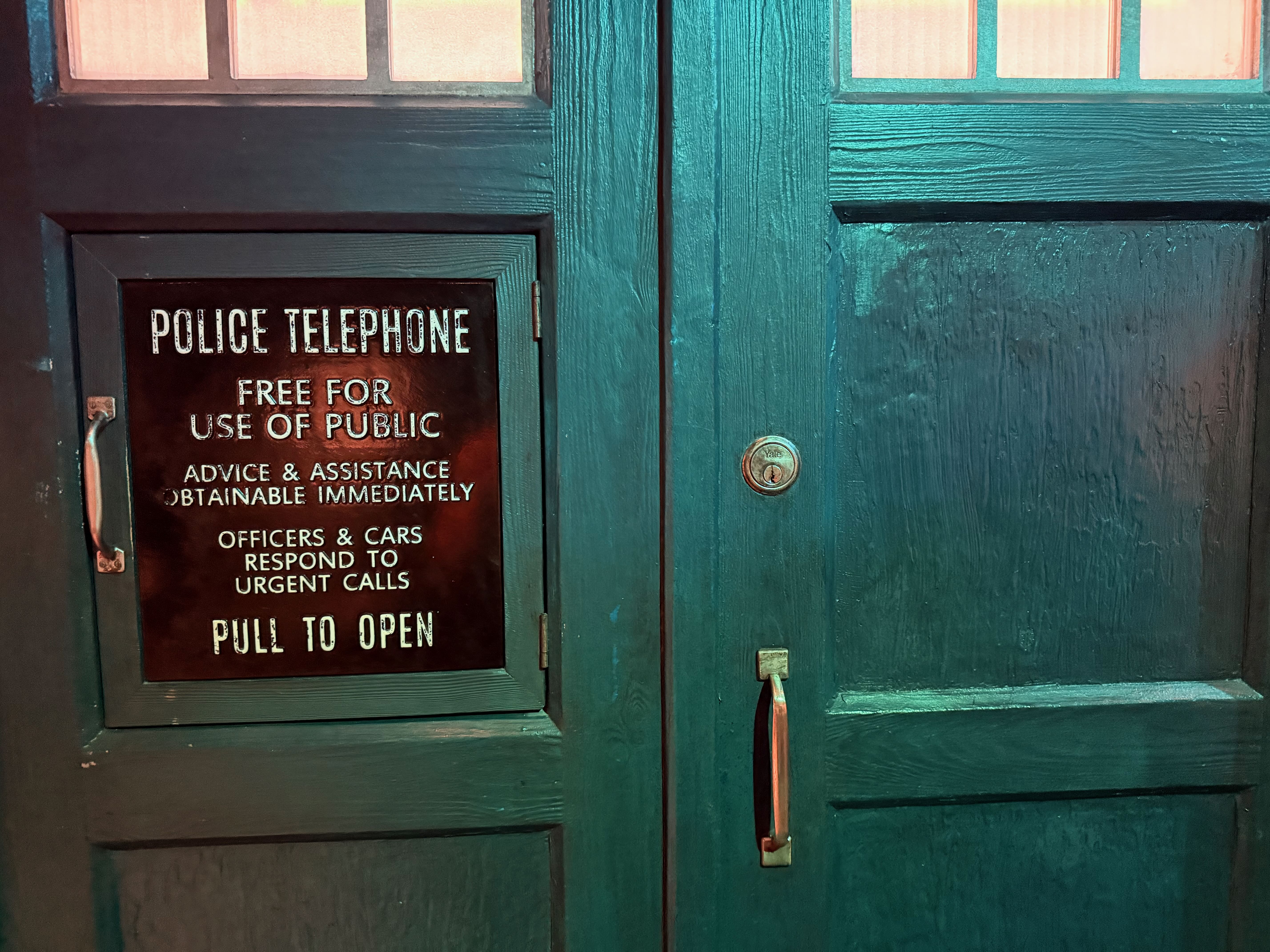 Close-up of the TARDIS door