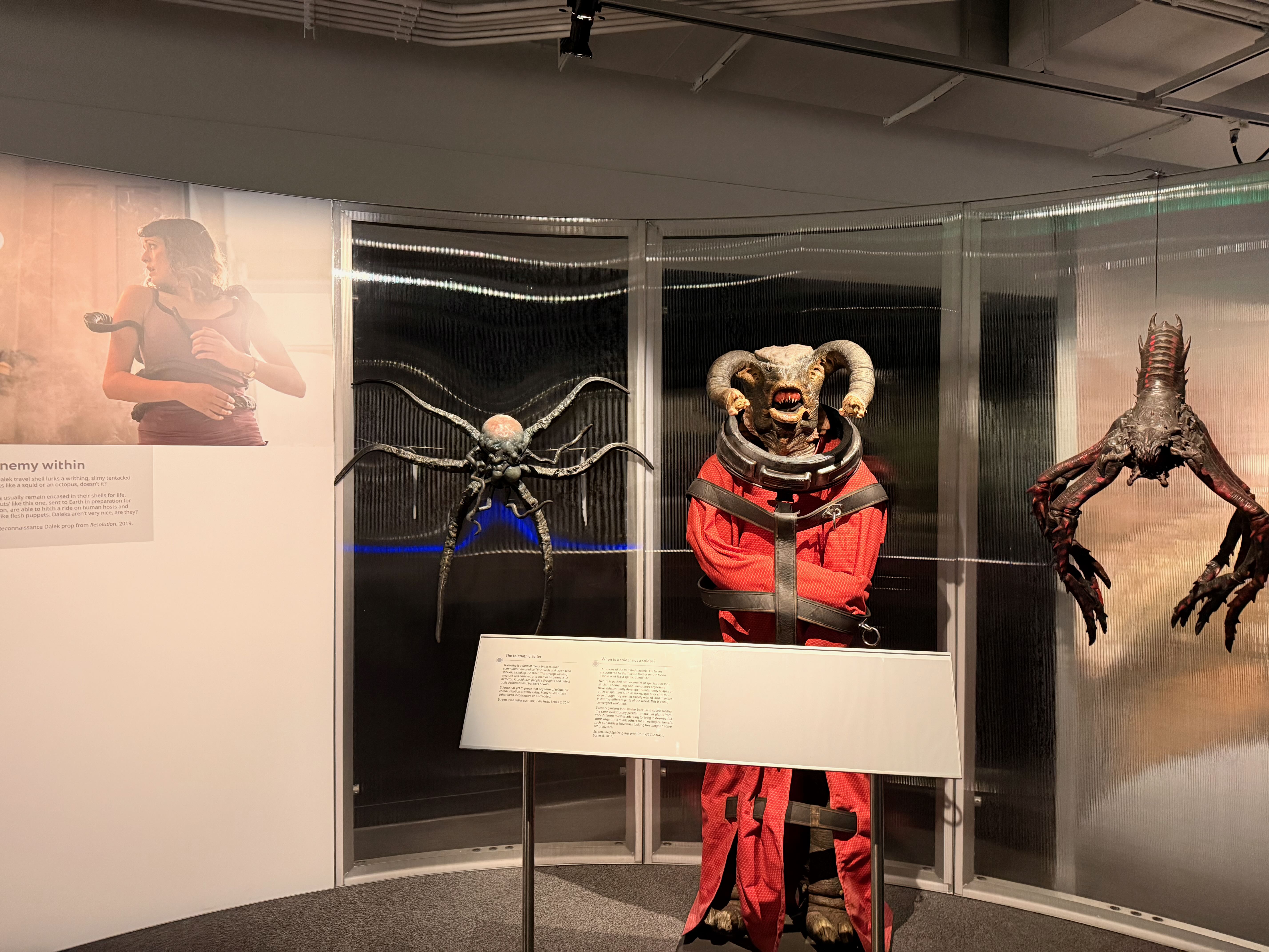 Alien creatures on display