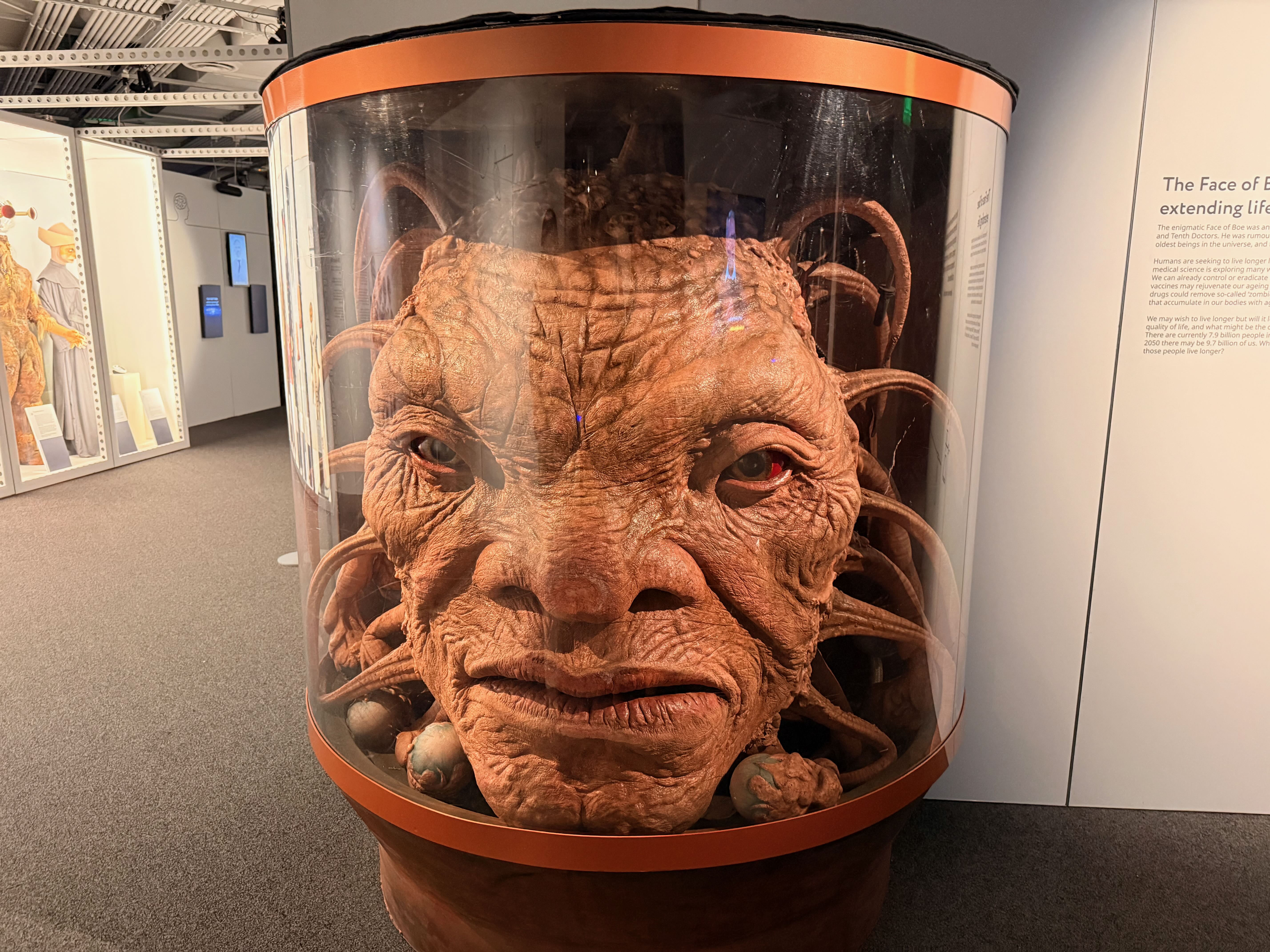 The Face of Boe