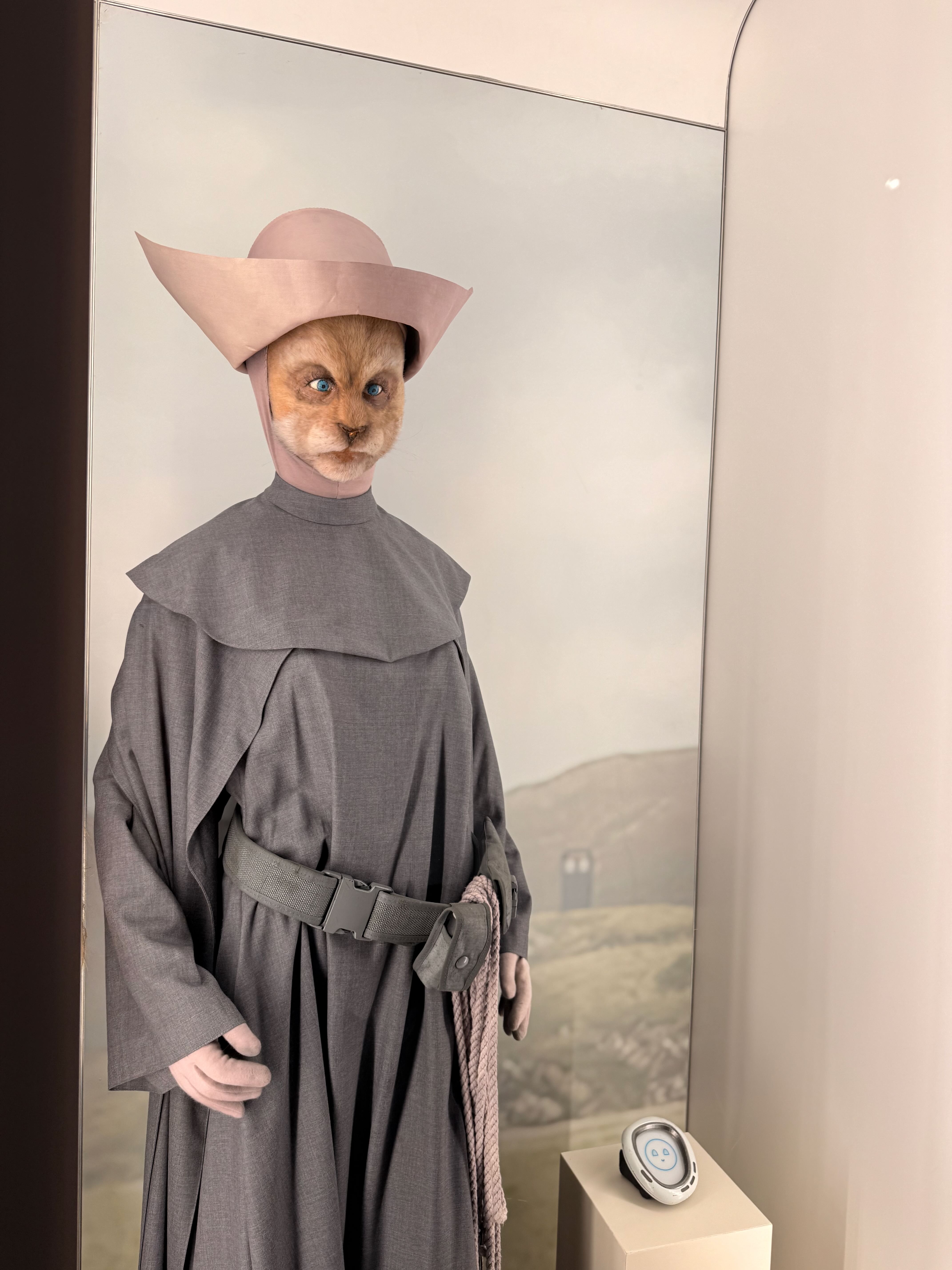 Sister of Plenitude costume