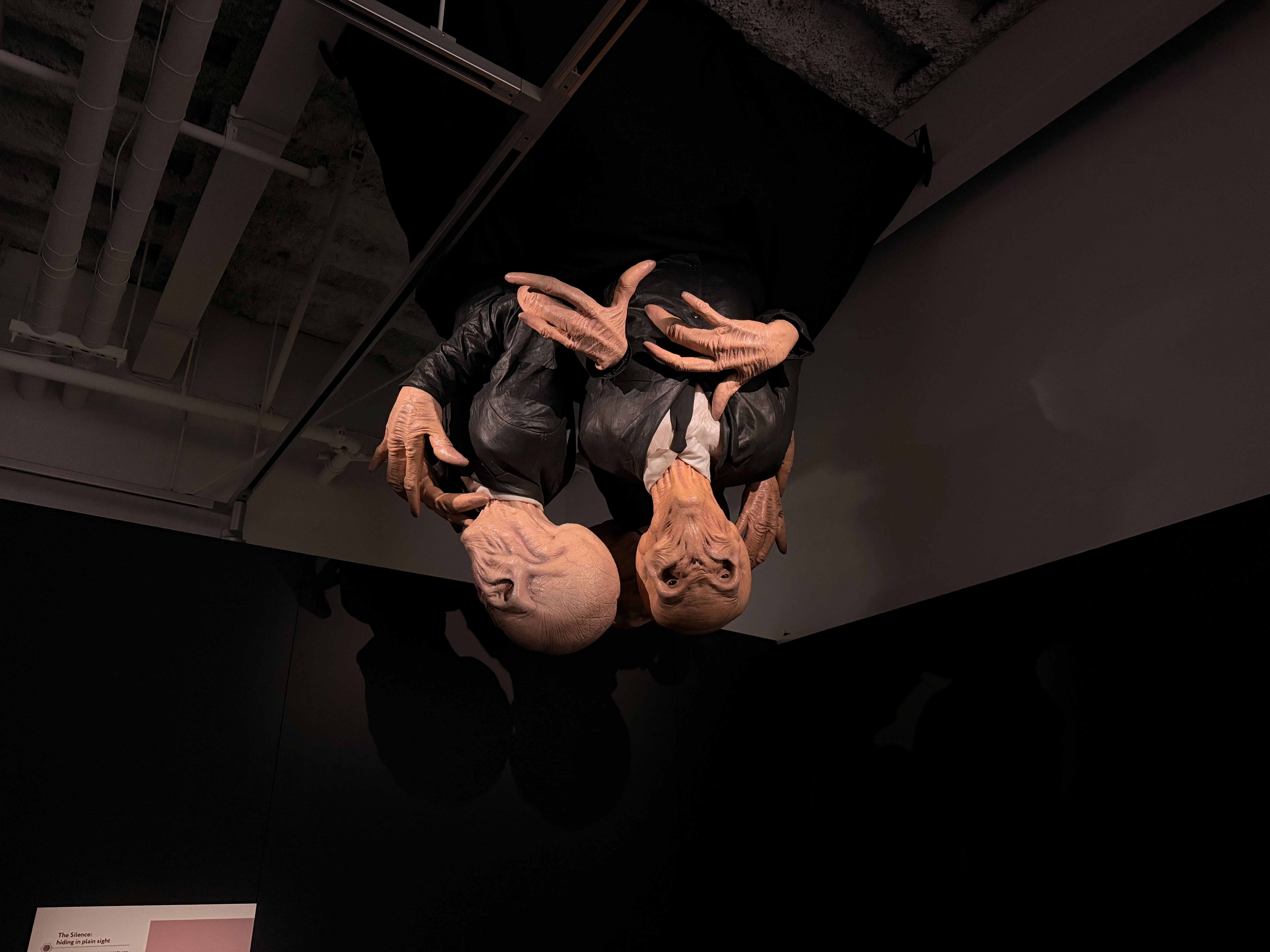 The Silence hanging from the ceiling